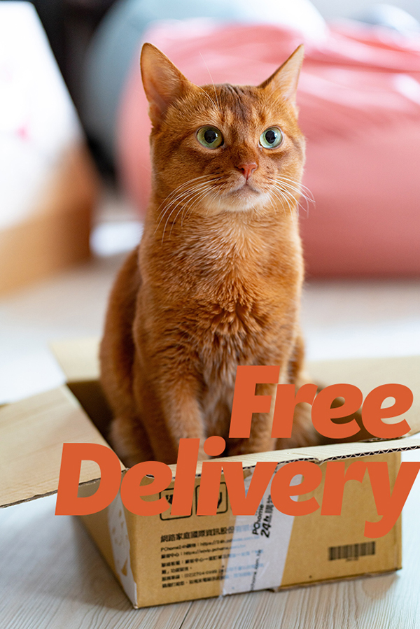 free-delivery